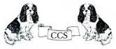 Description&nbsp;: Description&nbsp;: Description&nbsp;: Description&nbsp;: Description&nbsp;: Description&nbsp;: Description&nbsp;: logo