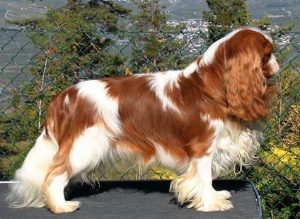 Description&nbsp;: Description&nbsp;: Description&nbsp;: Description&nbsp;: Description&nbsp;: dylan17mois2