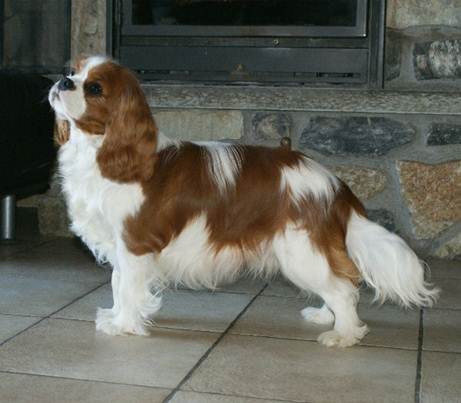 Description&nbsp;: Description&nbsp;: Description&nbsp;: Description&nbsp;: Description&nbsp;: dylan10moisstat6