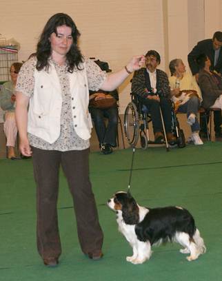 Description&nbsp;: Description&nbsp;: Description&nbsp;: Description&nbsp;: Description&nbsp;: stalloneNEorleans091