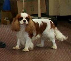 Description&nbsp;: Description&nbsp;: Description&nbsp;: Description&nbsp;: Description&nbsp;: dougystef082