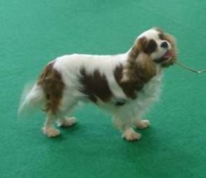 Description&nbsp;: Description&nbsp;: Description&nbsp;: Description&nbsp;: Description&nbsp;: dougyexpo