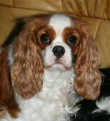 Description&nbsp;: Description&nbsp;: Description&nbsp;: Description&nbsp;: Description&nbsp;: valentine-2ans