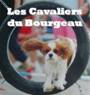 Description&nbsp;: Description&nbsp;: Description&nbsp;: Description&nbsp;: bancavalierdubourgeau