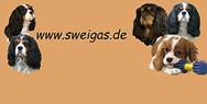 http://www.sweigas.gmxhome.de/Bilder/Banner-Sweigas.jpg